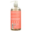 RENPURE Champú Shampoo 24 oz Pink Grapefruit Peony