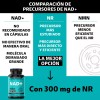 Nad+ | Nr Nicotinamida Ribosa - Suplemento Alimenticio Premium Potenciado