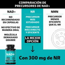 Nad+ | Nr Nicotinamida Ribosa - Suplemento Alimenticio Premium Potenciado Con Resveratrol, Quercetina, Betaina Hcl Y Semilla De Uva | Sin Sabor - 30 Cápsulas