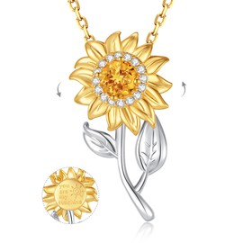 FANCIME Sunflower necklace Sterling Silver Gold Plated Spinning Anxiety Pendant for anti-stress, You Are My Sunshine Fidget Rotatable Jewelry Birthday Christmas Gifts for Women Wife Her