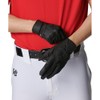 UA Clean Up Batting Gloves, Colorless, 6001311 (001), Black, Black,