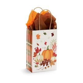 NWP Pumpkin Plaid Paper Shopping Bags - Rose Size - 5.25 x 3.5 x 8.25in. - Pack of 25