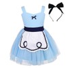 Lito Angels Alice in Wonderland Baby Girl Fancy Dress Dress