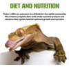 Fluker's Freeze Dried Crickets, Ideal for Reptiles, Birds, and Fish,
