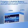 Forgetyo 12V 6Ah LiFePO4 Lithium Battery, 3000+ Cycles Lithium Battery,Safe