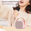 Bluetooth Speaker Microphone Set Multifunction HiFI Stereo Portable Handheld Karaoke