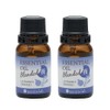 [Set of 2] Blend essential oil (for night)