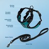 Voyager Escape Proof Cat Harness and Leash Set with Reflective