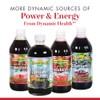 Dynamic Health Pomegranate Juice Concentrate | No Additives or Preservatives