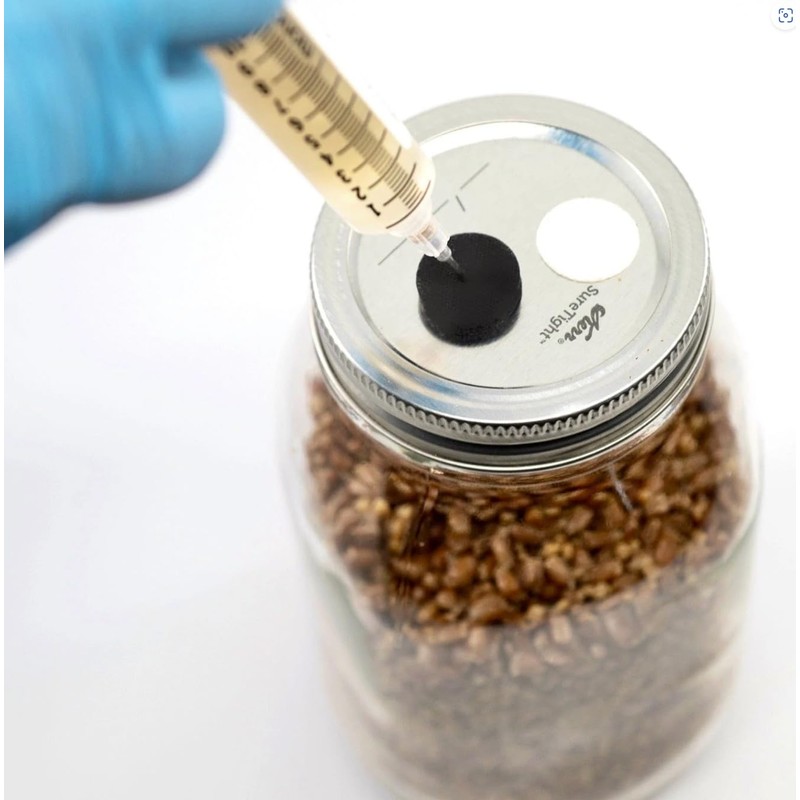 North Spore Organic Shiitake Mushroom Liquid Culture | Lentinula edodes