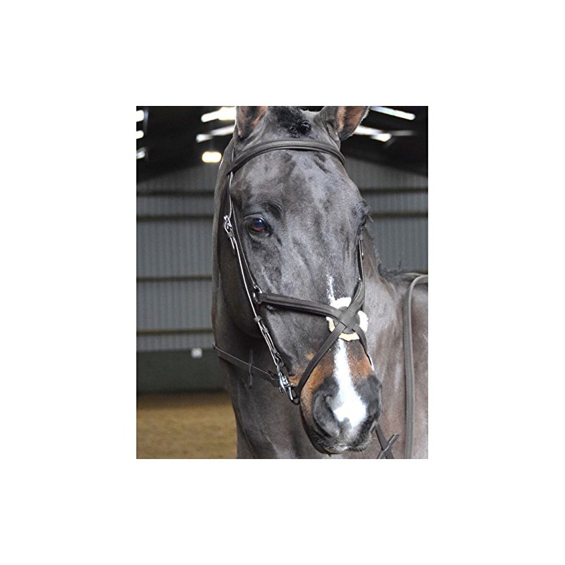 John Whitaker Ready to Ride Mexican Grackle Bridle Cob Black