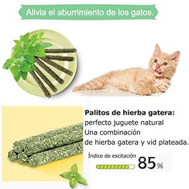 HYH 6 Palitos de Hierba Gatera, Juguete Gato Interactivo, Adecuados para Que los Gatos Alivian el Aburrimiento y se Limpian los Dientes