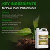 Humboldts Secret CalMag & Iron | Calcium, Magnesium & Chelated