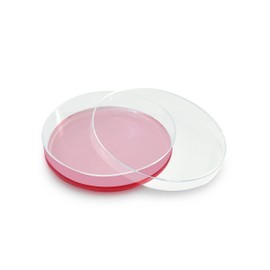 [20 Pcs] Petri Dishes,60 x 15 mm, Petri, DNase/RNase Free, Non pyrogenic, Clear, Sterilized, High Clarity polystyrene