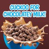 Cocoa Puffs, Chocolate Breakfast Cereal with Whole Grains, Giant Size,