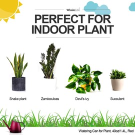 WhaleLife WhaleLife Indoor Watering Can for House Bonsai Plants (1.4L, Red)