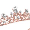 Lovelyshop Royal Crystal Princess Alloy Tiara Headpiece for Girls in
