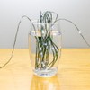 ZELUXDOT 660ft 2000LED Fairy Light String Green Copper Wire Cool