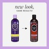 HASK Set De Champú Y Acondicionador Blonde Care Para Cabello