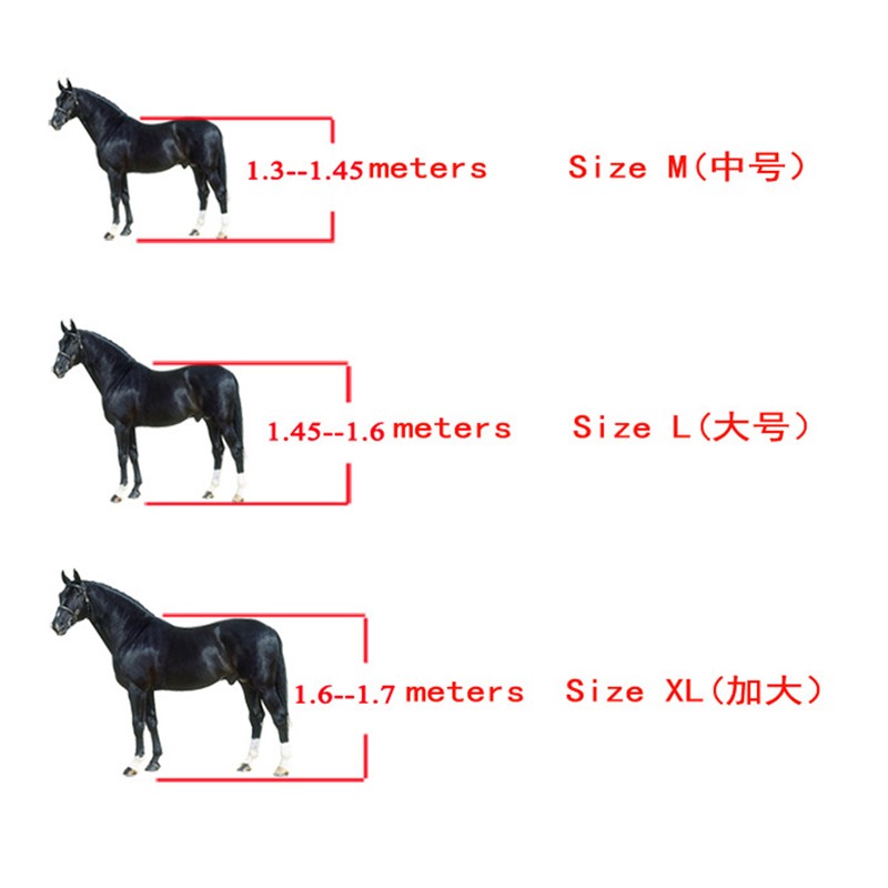 4 Pcs Horse Tendon Boots Set Soft Anti Slip Cushioning