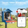 Rayki Solar Bird Feeder with Camera for Birdwatching, 2K HD