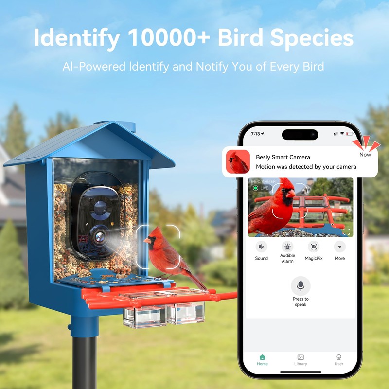 Rayki Solar Bird Feeder with Camera for Birdwatching, 2K HD