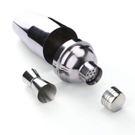 Tebery 5 Pieces Cocktail Shaker Bar Set, 26 Ounces Martini Kit with Double Jigger and Spoon (Silver)