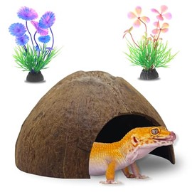 FAVOZIO Half Coconut Shell Hut Unpolished