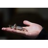 Metal Shotgun Bottle Opener - 4 in 1 Shotgun Tool,
