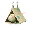 Parrot Toy Bird For Domestic Juncus effusus Tent (Small) Green