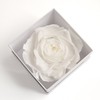 Infinity Rose Preserved Rose Box I Love You Gift for