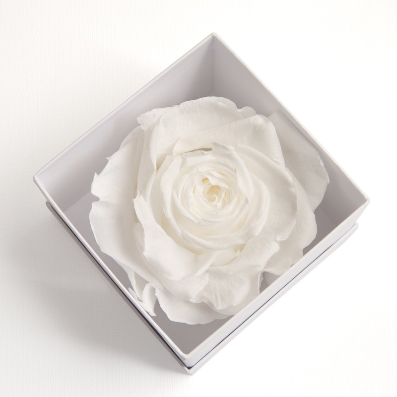 Infinity Rose Preserved Rose Box I Love You Gift for