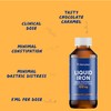 Iron Supplement High Potency Liquid Iron for Adults by Hematex