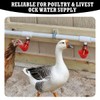 Vankcp 50 Pack Chicken Waterer PVC Tee Fittings, PVC Tee