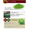 Honjien Tea Matcha, Matsuju no Kyoshi 0.7 oz (20 g)