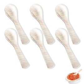 CAMATET 6 Pcs Caviar Spoons Set, 3.54 Inch Mother of Pearl Spoon, Hand Craft Shell Spoon with Handle, Caviar Serving Scoop for lce Cream, Egg, Coffee, Salt, Sauce