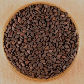 Sesame Seeds, Black - 5.5 oz Stovetop Shaker Jar