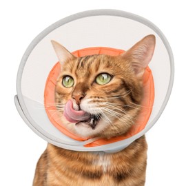 Cat Cone Collar Soft: Comfortable Waterproof Mesh Recovery Cone After Surgery to Stop Licking and Scratch, Alternative to Plastic Elizabeth Head/Neck Cone