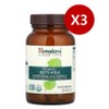 Himalaya Goyaksa Organic Gotu Kola Centella asiatica, 3 packs, 90 tablets / 히말라야 고약사 유기농 고투콜라 병풀, 3개, 90정