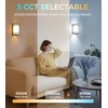 CLOUDY BAY LED 3 Color Wall Sconce,Wall Lighting,3000K/4000K/5000K Color Temperature