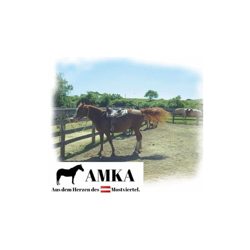 AMKA Westernpad Red Pony Saddle Navajo Blanket 26 x 26