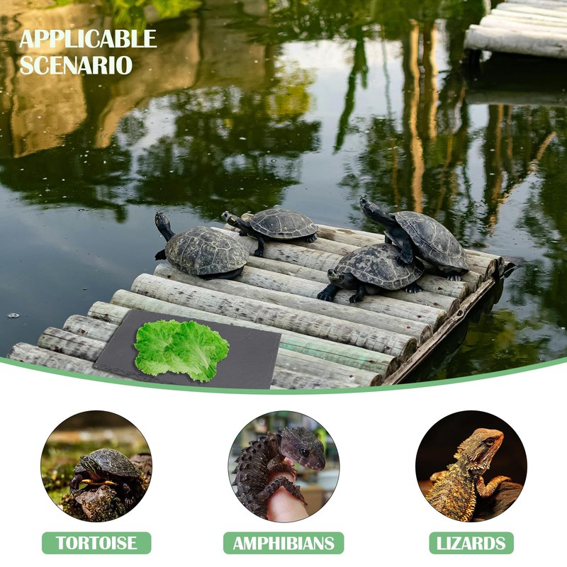 ZJIVQO Reptile Basking Platform Slate,Reptile Feeder Rock Plate,Snake Breeding Tray,