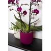 Capi Europe - Flower Pot Ball Groove Colours - 17
