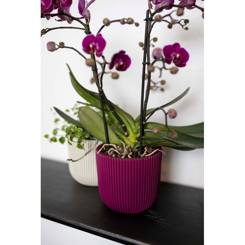 Capi Europe - Flower Pot Ball Groove Colours - 17