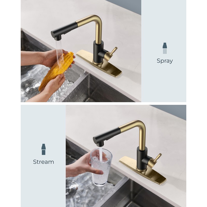 FORIOUS Kitchen Faucets with Pull Down Sprayer, Stainless Steel Single