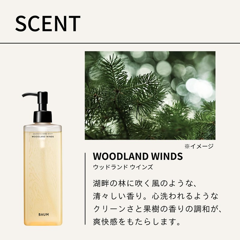 Baum (Baum) Aromatic Hand Wash n 300mL | 2024 Model