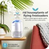 Katchy Indoor Insect Trap - Catcher & Killer for Mosquitos,