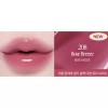 Clio 클리오 볼륨메이트 글로스 틴트 208 로즈 브리즈 X2개 BNS