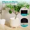 Rahato 10 lbs Small White Rocks for Planters, 3/8" White