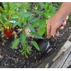 Olmsted Forge Garden Tool Set, 5 Pieces, Heavy Duty Powder